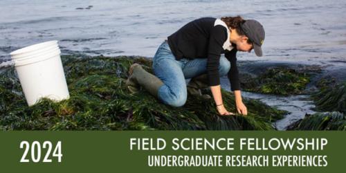 Field science fellowship 2024