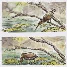 Stealthy Green Heron catches frog.